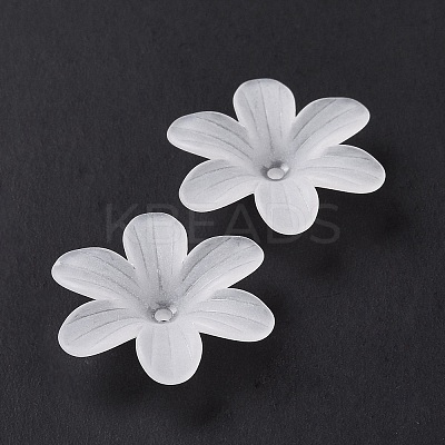 6-Petal Transparent Acrylic Bead Caps OACR-A017-14-1