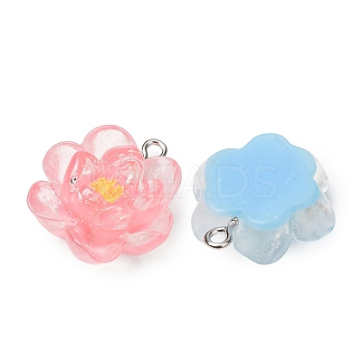 Transparent Resin Pendants RE-CBA5F64-02-1
