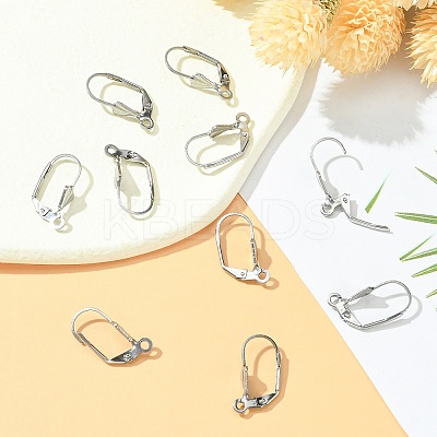 Tarnish Resistant 304 Stainless Steel Leverback Earring Findings STAS-E007-2-1
