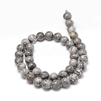 Natural Map Stone Beads Strands G-P075-15-4mm-1