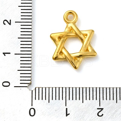 Ion Plating(IP) 304 Stainless Steel Pendants STAS-M070-14G-1