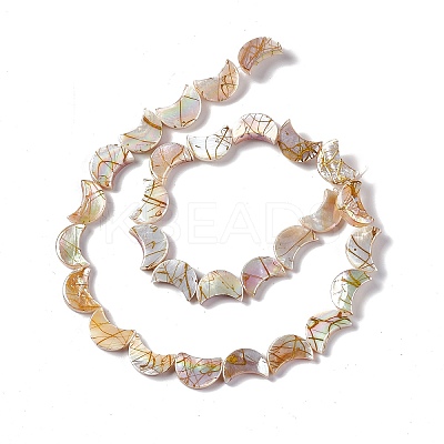 Drawbench Style Natural Freshwater Shell Beads Strands X-SHEL-F003-05-1
