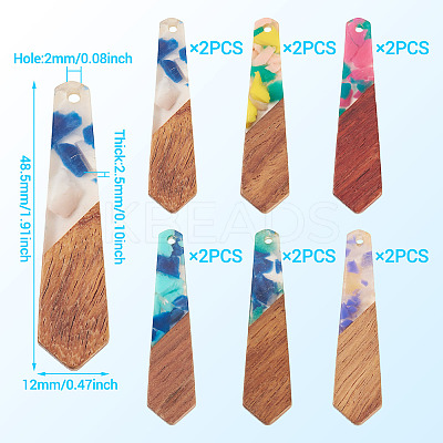 12Pcs 6 Colors Resin and Walnut Pendants FIND-TA0006-36D-1