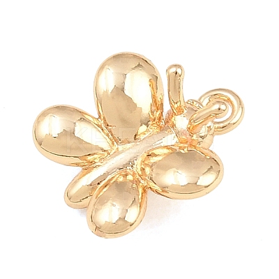 304 Stainless Steel Charms SA-CBA4377-02F-G-1