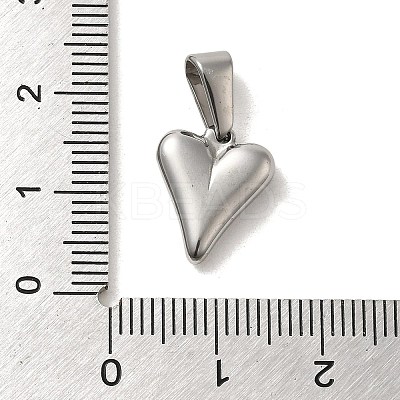 Non-Tarnish 304 Stainless Steel Charms LS-STAS-B053-12P-1