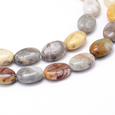 Natural Crazy Lace Agate Flat Oval Bead Strands G-M206-18-1