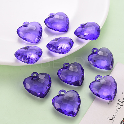 Transparent Acrylic Pendants TACR-T024-03B-936-1