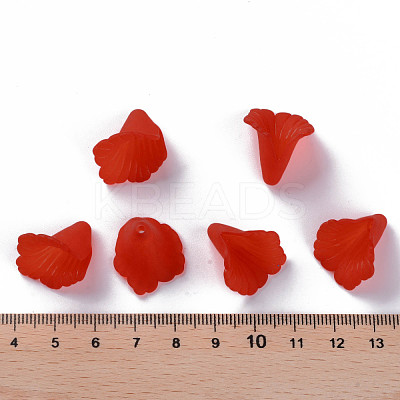 Transparent Acrylic Bead Caps PL551-C12-1
