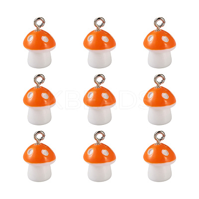 Plastic Pendants KY-TA0001-15F-1