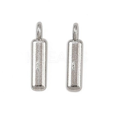 304 Stainless Steel Charms STAS-G356-08P-I-1