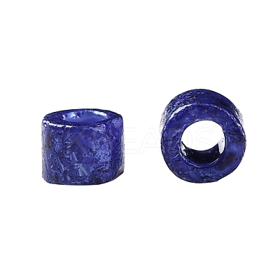 Cylinder Seed Beads SEED-H001-H06-1