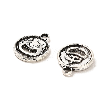 Tibetan Style Alloy Charmss FIND-C043-037AS-1