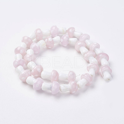 Handmade Lampwork Beads Strands LAMP-E015-03D-1