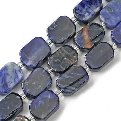 Natural Sodalite Beads Strands G-C098-A08-01-1