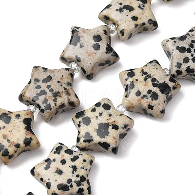 Natural Dalmatian Jasper Beads Strands G-K359-E12-1