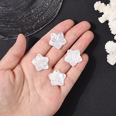 4Pcs Natural White Shell Mother of Pearl Shell Pendants SSHEL-YW0001-10-1