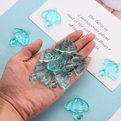 Transparent Acrylic Pendants TACR-T024-01B-946-1