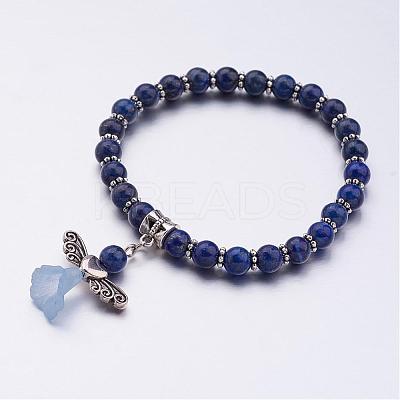 Natural Gemstone Beads Stretch Charm Bracelets BJEW-JB02592-1