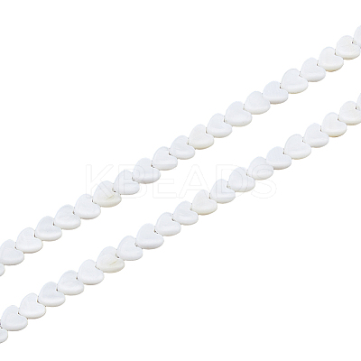2 Strands Natural Freshwater Shell Beads Strands SHEL-HS0001-13-1