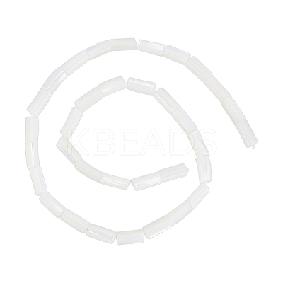 1 Strand Natural Freshwater Shell Beads Strands BSHE-PH0001-55A-1