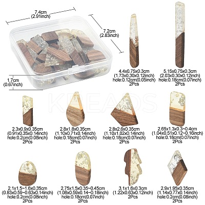 20Pcs 10 Styles Transparent Resin & Walnut Wood Pendants RESI-YW0001-30-1