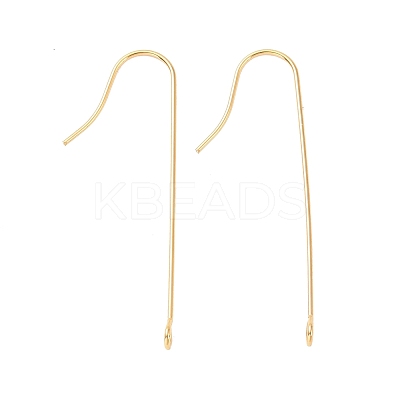 316 Surgical Stainless Steel Earring Hooks STAS-E027-01A-G-1