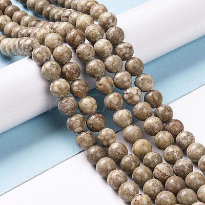 Natural Maifanite/Maifan Stone Beads Strands G-I187-10mm-01-1