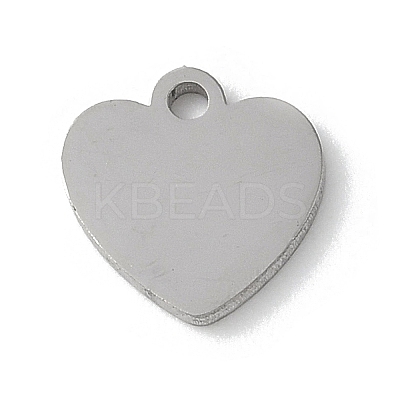 304 Stainless Steel Stamping Blank Tag Charms STAS-E501-02P-1