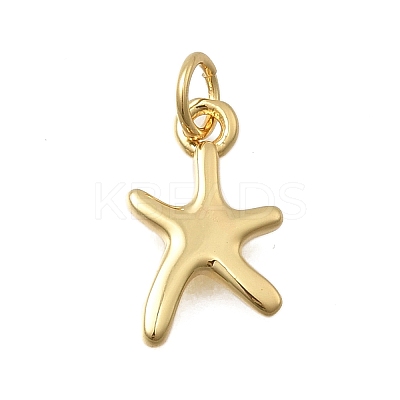 Brass Pendants KK-D431-022B-G-1