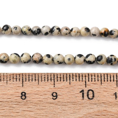 Natural Dalmatian Jasper Beads Strands G-Z116-A10-3mm-1