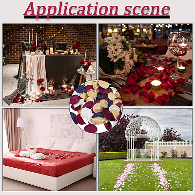 200Pcs Polyester Artificial Rose Flower Petals DIY-GF0011-12D-1