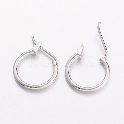 Brass Hoop Earrings EC261-NF-1