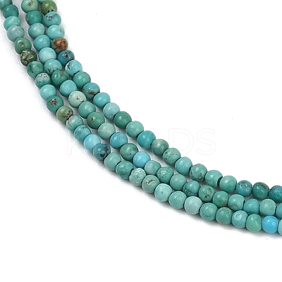 Natural HuBei Turquoise Beads Strands G-C181-A01-01-1