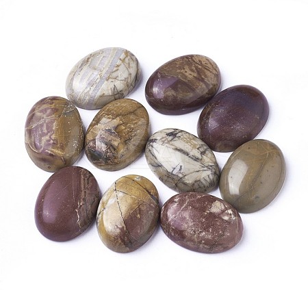 Natural Polychrome Jasper/Picasso Stone/Picasso Jasper Cabochons LS-X-G-D860-A16-1
