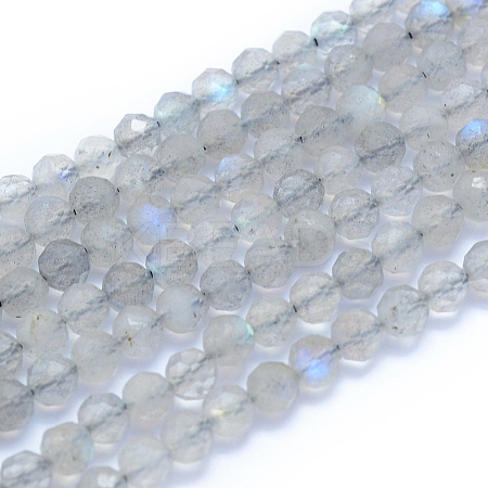 Natural Labradorite Beads Strands G-I279-E19-1
