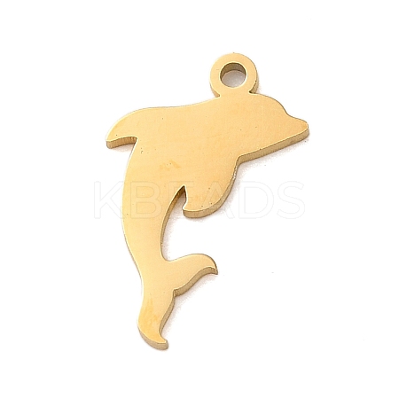 304 Stainless Steel Charms STAS-S138-01G-03-1