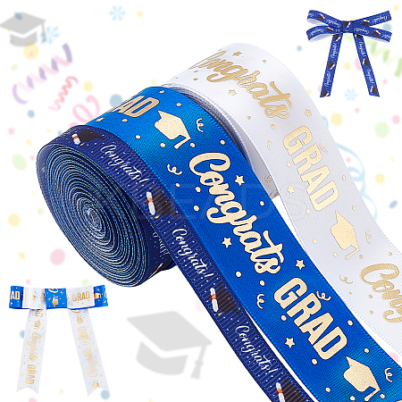 Gold Stamping Polyester Printed Ribbon OCOR-PH0004-91A-1