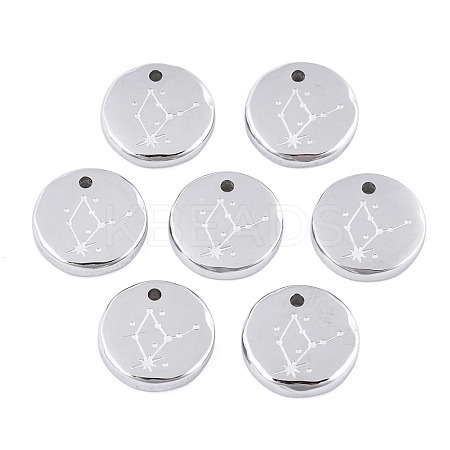 Non-Tarnish 316 Surgical Stainless Steel Charms STAS-S116-418D-P-1