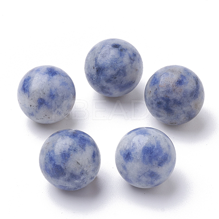 Natural Blue Spot Jasper Beads G-S289-15-10mm-1