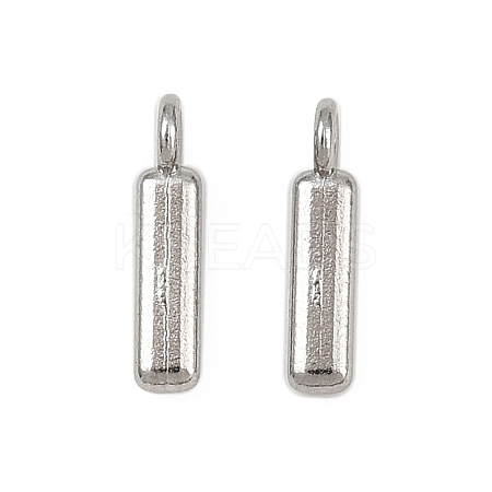 304 Stainless Steel Charms STAS-G356-08P-I-1