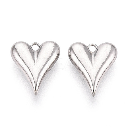 304 Stainless Steel Charms LS-STAS-T065-81P-1
