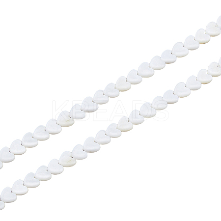 2 Strands Natural Freshwater Shell Beads Strands SHEL-HS0001-13-1
