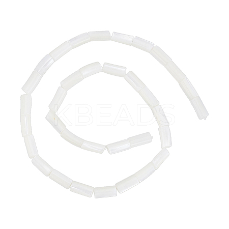 1 Strand Natural Freshwater Shell Beads Strands BSHE-PH0001-55A-1