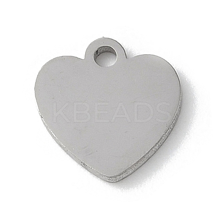 304 Stainless Steel Stamping Blank Tag Charms STAS-E501-02P-1