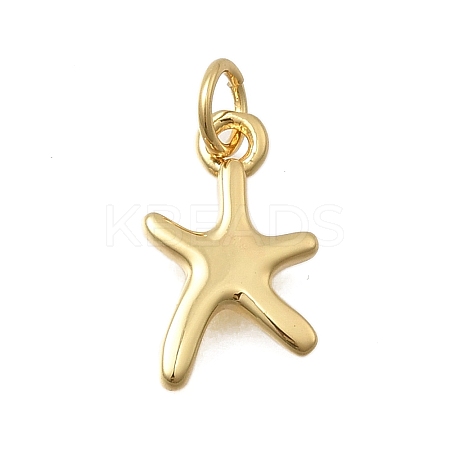 Brass Pendants KK-D431-022B-G-1