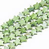 Freshwater Shell Beads Strands SHEL-S276-31C-1
