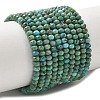 Natural HuBei Turquoise Beads Strands G-P629-B02-01-1