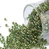 TOHO 11/0 Round Beads X-SEED-TR11-1007-1
