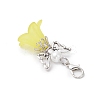 5Pcs 5 Colors Glass Pearl Beads & Acrylic Pendant Decorations HJEW-JM03223-02-5