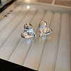 Silver Needle Silver Earrings Fashion Metal Earrings Simple Design Earrings TV7290-15-1
